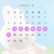 ヒメ日記 2026/06/05 15:14 投稿 みこと アラカルト