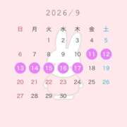 ヒメ日記 2026/09/07 16:02 投稿 みこと アラカルト