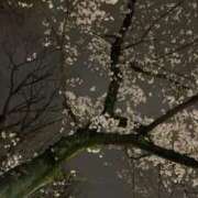 ヒメ日記 2026/04/26 13:33 投稿 ひまり 完全密室 無抵抗