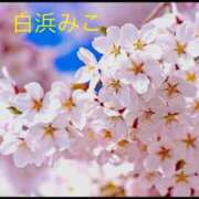 ヒメ日記 2026/04/22 13:52 投稿 白浜　みこ ソープランド蜜 人妻・美熟女専門店