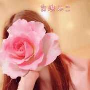 ヒメ日記 2026/05/05 09:48 投稿 白浜　みこ ソープランド蜜 人妻・美熟女専門店
