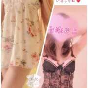 ヒメ日記 2026/06/03 12:25 投稿 白浜　みこ ソープランド蜜 人妻・美熟女専門店