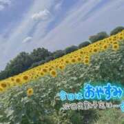 ヒメ日記 2026/07/15 09:40 投稿 くろみ クラブレア南大阪