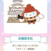 ヒメ日記 2026/04/29 20:44 投稿 つぐみ I❤HIMEJI（アイラブ姫路）