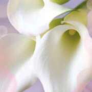 ヒメ日記 2026/04/21 22:01 投稿 あきな 熟女デリヘル倶楽部