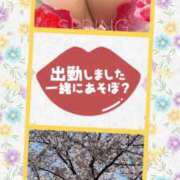 ヒメ日記 2026/04/17 12:00 投稿 梅野美琴 五十路マダム姫路店