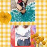 ヒメ日記 2026/05/15 10:56 投稿 梅野美琴 五十路マダム姫路店