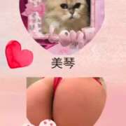 ヒメ日記 2026/05/23 15:54 投稿 梅野美琴 五十路マダム姫路店