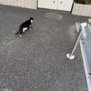ヒメ日記 2026/05/05 21:34 投稿 あき 完熟ばなな千葉店