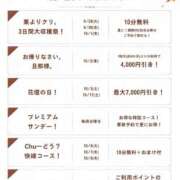 ヒメ日記 2026/09/30 09:57 投稿 しおり 横浜人妻花壇本店