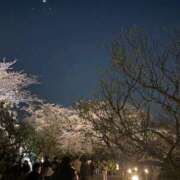 ヒメ日記 2026/04/28 15:46 投稿 まい CLUB MERRY GO ROUND（メリーゴーランド）