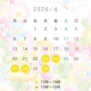 ヒメ日記 2026/04/23 02:35 投稿 ありあ ナチュラルプリンセス