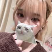 ヒメ日記 2026/09/23 23:23 投稿 Kiyo-きよ- CLUB MERRY GO ROUND（メリーゴーランド）
