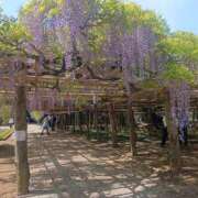 ヒメ日記 2026/04/26 14:17 投稿 瀬名 人妻風俗チャンネル