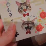 ヒメ日記 2026/09/01 00:39 投稿 Momo -もも- CLUB MERRY GO ROUND（メリーゴーランド）