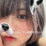 ヒメ日記 2026/05/16 12:20 投稿 Sena-せな- CLUB MERRY GO ROUND（メリーゴーランド）