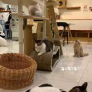 ヒメ日記 2026/07/10 19:18 投稿 Kira-きら- CLUB MERRY GO ROUND（メリーゴーランド）