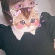 ヒメ日記 2026/04/17 22:56 投稿 たまき 埼玉熊谷ちゃんこ