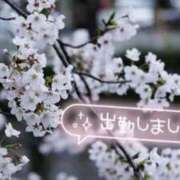 ヒメ日記 2026/04/17 12:57 投稿 しずか 完熟ばなな新宿