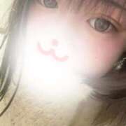 うさ お話ししたいな｡ 奥様なでしこ