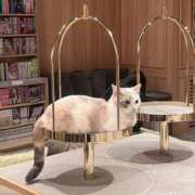 ヒメ日記 2026/05/12 12:31 投稿 天沢　ねむ 現役ナースが精液採取に伺います 梅田店