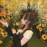 ヒメ日記 2026/08/10 23:08 投稿 おとは E+アイドルスクール船橋店