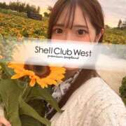ヒメ日記 2026/09/08 14:14 投稿 白井　あやめ シェルクラブ・ウエスト