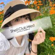 ヒメ日記 2026/09/27 08:47 投稿 白井　あやめ シェルクラブ・ウエスト