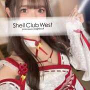 ヒメ日記 2026/10/05 08:50 投稿 白井　あやめ シェルクラブ・ウエスト