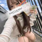 ヒメ日記 2026/10/20 08:39 投稿 白井　あやめ シェルクラブ・ウエスト