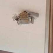 ヒメ日記 2026/06/15 21:58 投稿 えり アート姫