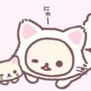 ヒメ日記 2026/05/05 13:52 投稿 もこ 萌えカワ