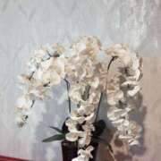 ヒメ日記 2026/04/19 02:27 投稿 桜愛 ひなの ホットアロマ