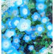ヒメ日記 2026/04/24 21:03 投稿 いおりさん ラバーズリアリティクラブ ブリリアントガールズ