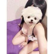 ヒメ日記 2026/04/23 00:16 投稿 ねむ 道玄坂クリスタル