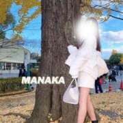 ヒメ日記 2026/04/23 03:46 投稿 桃乃木まなか 華椿