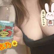 ヒメ日記 2026/04/30 22:33 投稿 志乃【しの】 丸妻 西船橋店