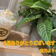 ヒメ日記 2026/06/30 21:24 投稿 志乃【しの】 丸妻 西船橋店