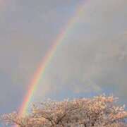 ヒメ日記 2026/04/18 11:51 投稿 望月　ちひろ 30・40・50代☆人妻熟女コレクション