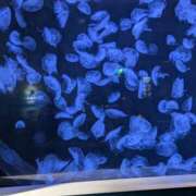 ヒメ日記 2026/04/28 10:55 投稿 望月　ちひろ 30・40・50代☆人妻熟女コレクション