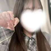 ヒメ日記 2026/04/17 09:29 投稿 みに スピードエコ日本橋店