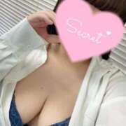 ヒメ日記 2026/04/18 00:27 投稿 カナ(奥方） 奥様幕府