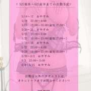 ヒメ日記 2026/05/14 10:36 投稿 Erisa THE MUSE