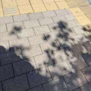 ヒメ日記 2026/05/05 09:57 投稿 えま 川崎三浦屋