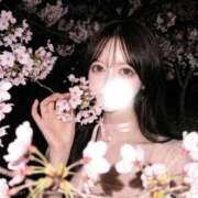 ヒメ日記 2026/04/20 14:52 投稿 【S】りいな E+五反田