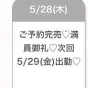 ヒメ日記 2026/05/29 05:24 投稿 るり★完未！初々しさ満点美少女 渋谷S級素人清楚系デリヘル chloe