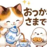 ヒメ日記 2026/07/23 23:12 投稿 すずな 熟女総本店 堺東店