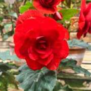 ヒメ日記 2026/04/27 03:45 投稿 かずは 肌水