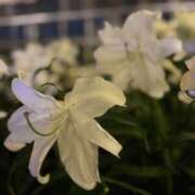 ヒメ日記 2026/05/02 15:27 投稿 かずは 肌水