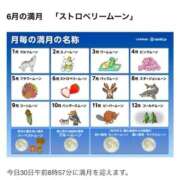 ヒメ日記 2026/06/30 20:31 投稿 かずは 肌水